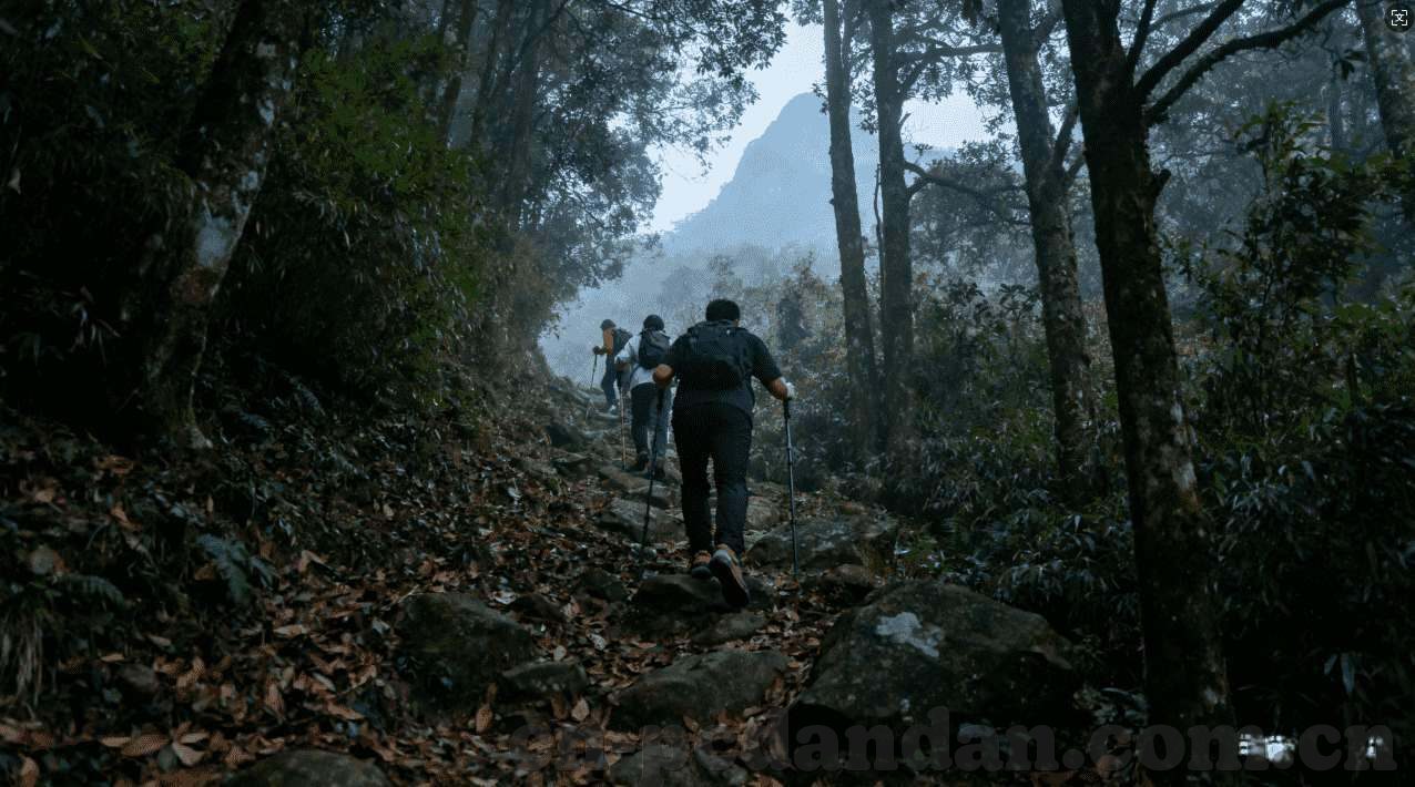 世界杯竞猜 G-世界杯竞猜，一场全球性的足球盛宴与智慧的较量
